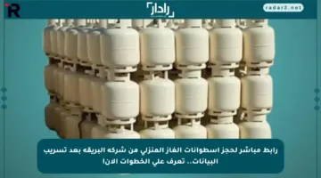 رابط مباشر لحجز إسطوانات الغاز المنزلي من شركة البريقة بعد تسريب البيانات.. تعرف على الخطوات الآن!